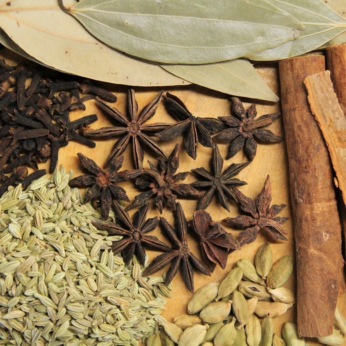 SPICE FARM TOUR